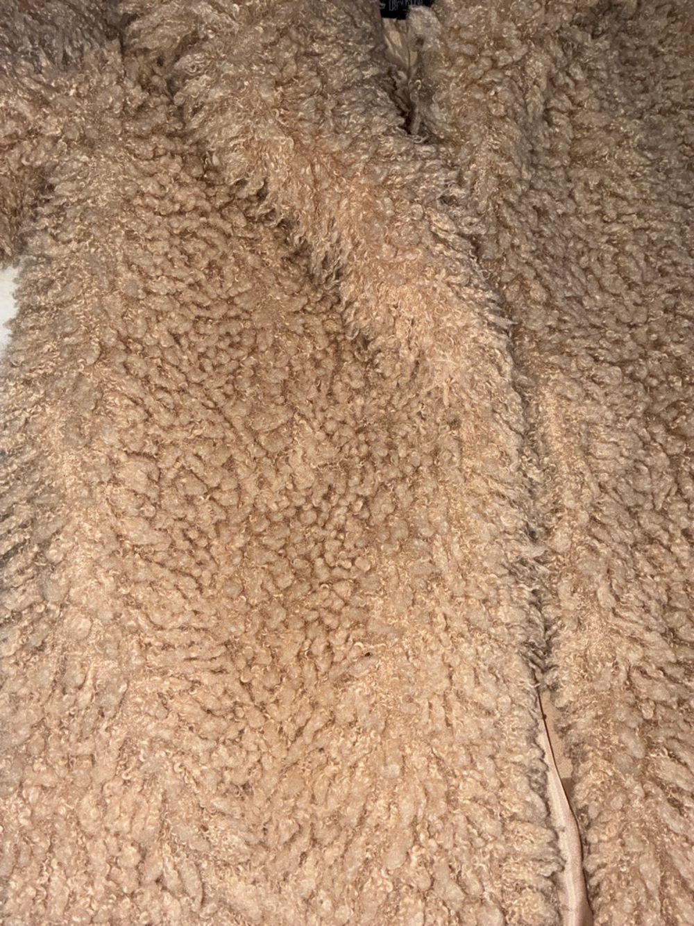 Wild Fable Women’s Plush Teddy Faux Fur Coat in Camel - Picture 3 of 6